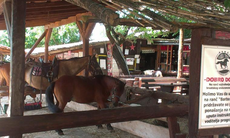 montar a caballo croacia