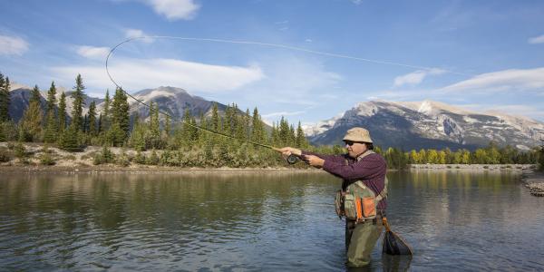 Fishing
